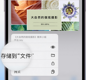 丁青apple维修中心分享iPhone文件应用中存储和找到下载文件