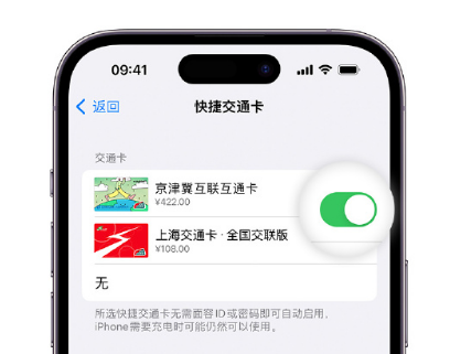 丁青apple维修点分享iPhone上更换Apple Pay快捷交通卡手绘卡面 