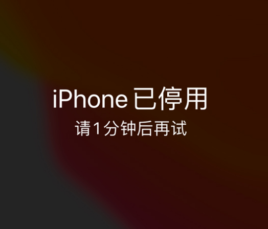 丁青苹果手机维修分享:iPhone 显示“不可用”或“已停用”怎么办？还能保留数据吗？ 