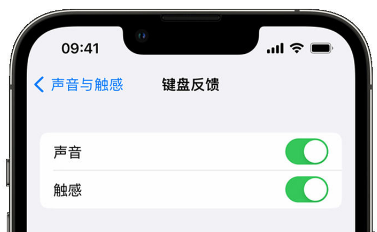 丁青苹果手机维修分享iPhone 14触感键盘使用方法 