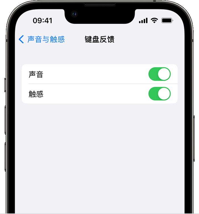 丁青苹果14维修店分享如何在 iPhone 14 机型中使用触感键盘 