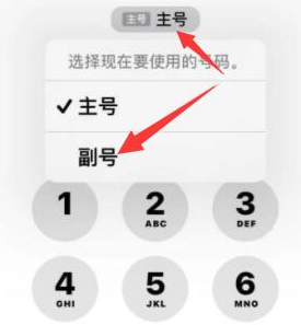 丁青苹果14维修店分享iPhone 14 Pro Max使用副卡打电话的方法 