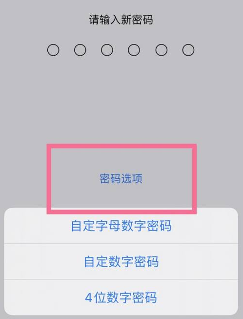 丁青苹果14维修分享iPhone 14plus设置密码的方法 