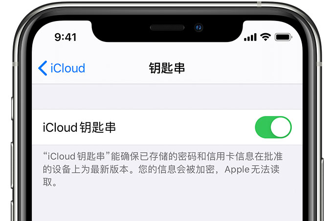 丁青苹果手机维修分享在 iPhone 上开启 iCloud 钥匙串之后会储存哪些信息 