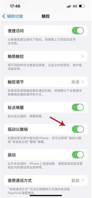 丁青苹果手机维修分享iPhone手机如何设置摇一摇删除文字 