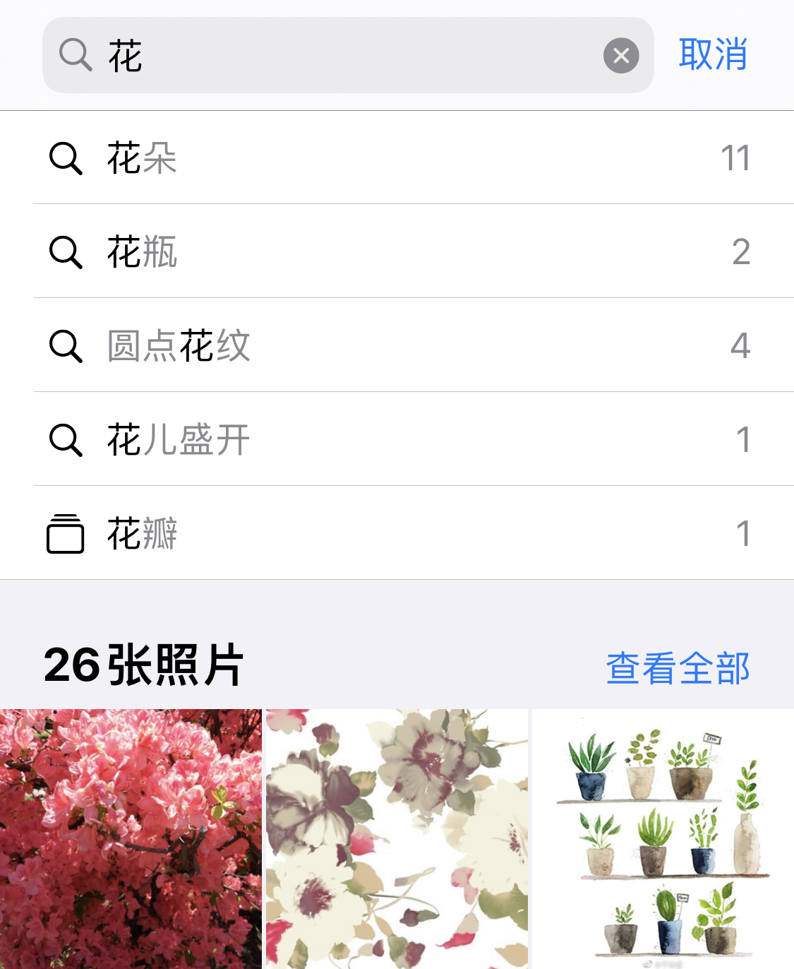 丁青苹果手机维修分享iPhone 小技巧 