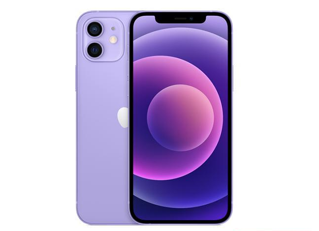 丁青苹果手机维修分享现阶段要不要入手紫色版iPhone12 