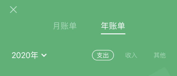 丁青苹果手机维修分享如何在 iPhone 上查看支付宝和微信年支出账单 